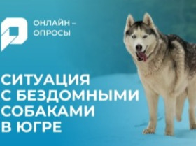 C 1 по 22 апреля 2026 года проводится онлайн-опрос «Ситуация с бездомными собаками в Югре».